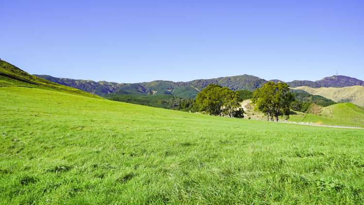 Lot 4, 151 Hill Road Te Aroha_3