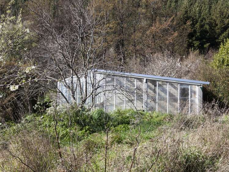 103 Richfield Road Port Levy_20