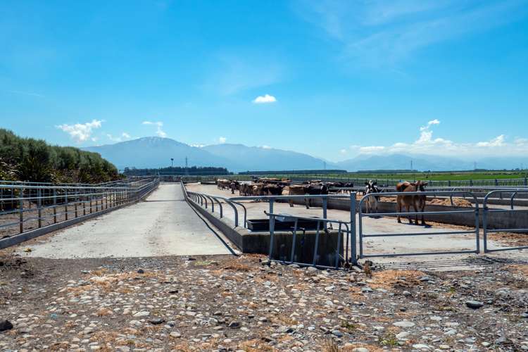 102 Anama Station Road Mayfield_22