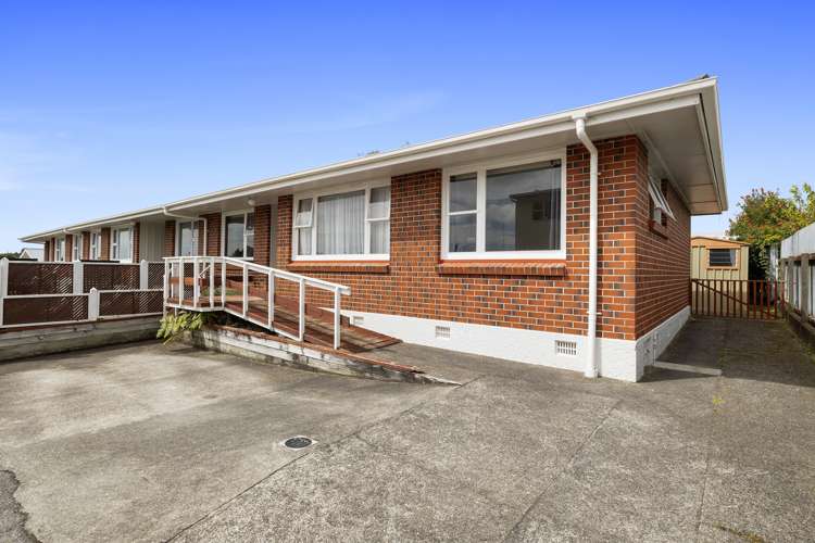 241c Carrington Street Vogeltown_15