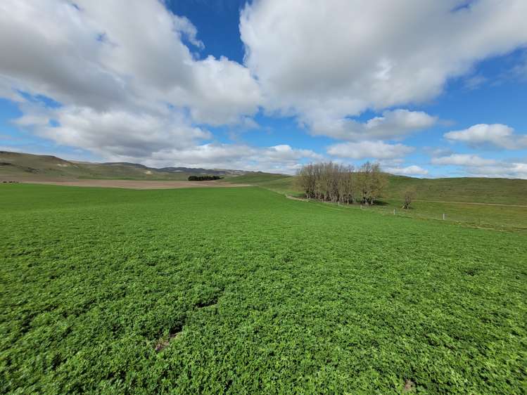 Oneill Road Ranfurly_16