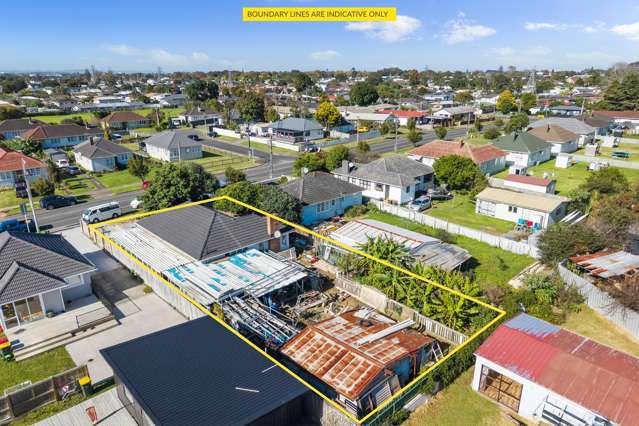 Renovator's Goldmine
