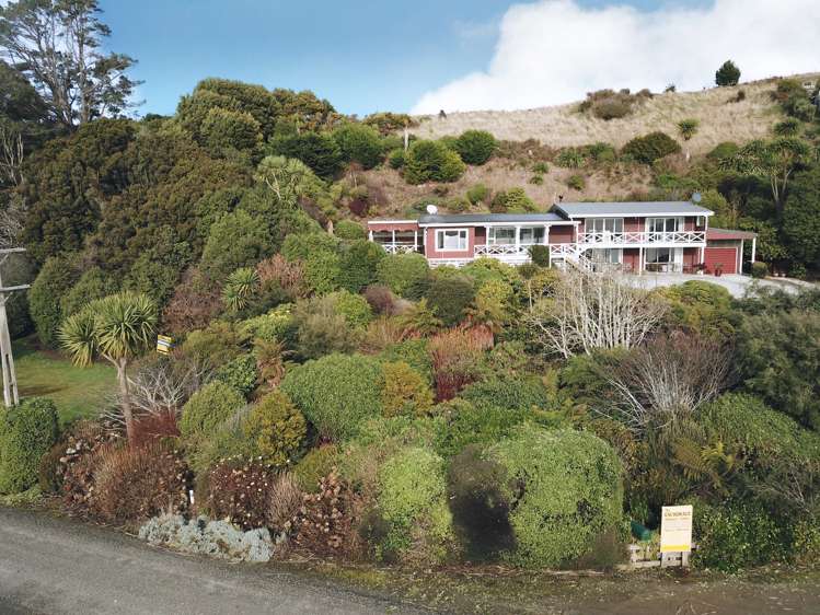 52 Antrim Street Catlins Surrounds_0