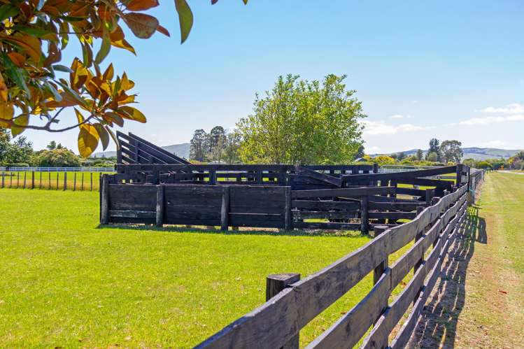 96 Loop Line Opaki_22