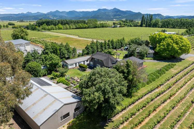 19 Terrace Road Renwick_9