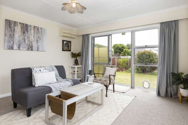 44A Leefield Street Blenheim_2