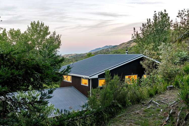 32 Maui Pomare Road Nikau Valley_22