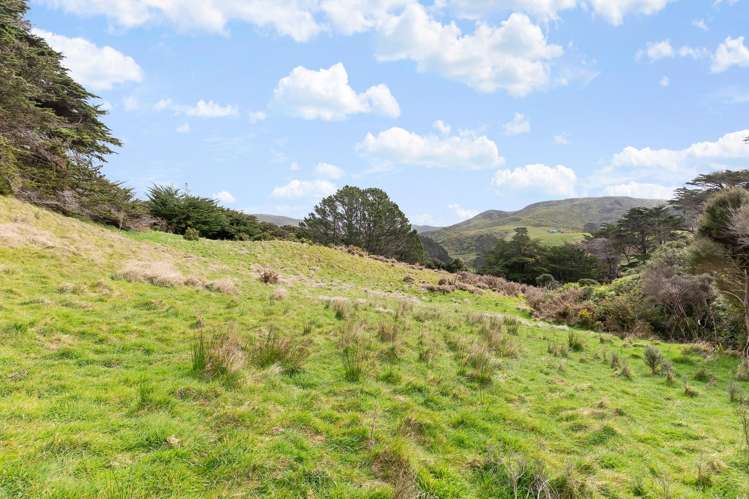 474C Makara Road Makara_13