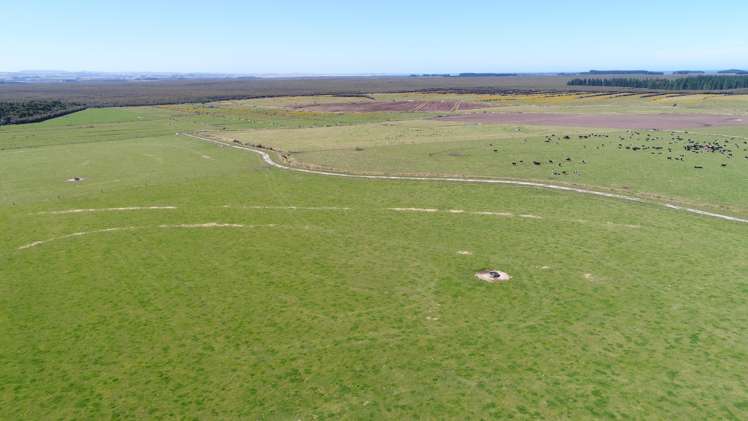 235 Waituna Lagoon Road Wyndham Surrounds_5