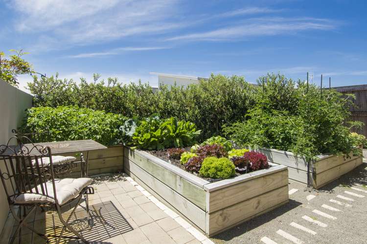 39 Balboa Key Papamoa_16