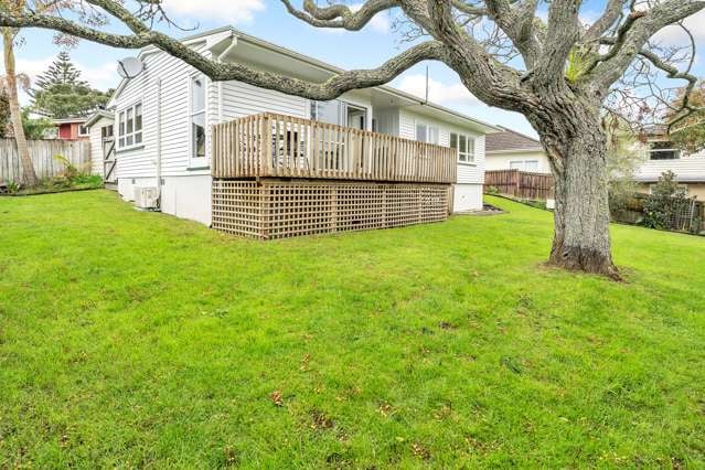 3 Rodney Street Howick_1