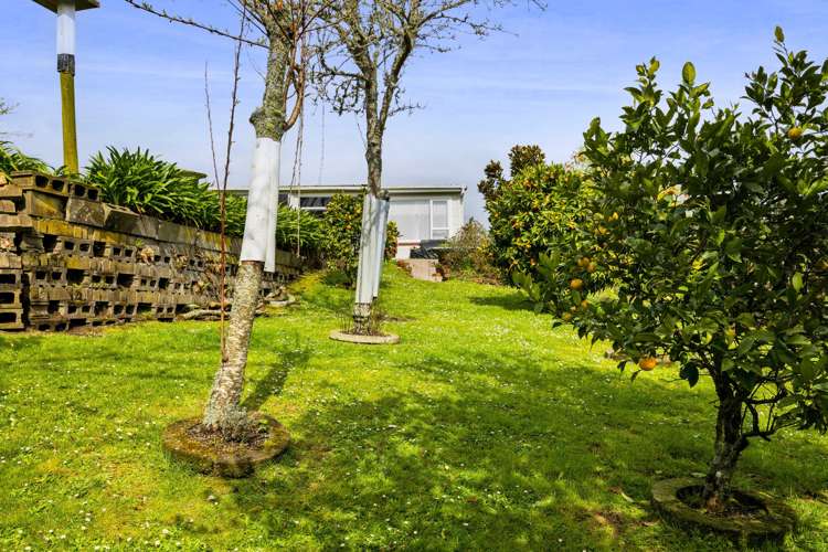 234 Bridge Street Eltham_25