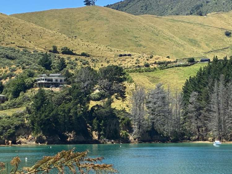 Cissy Bay Road, Cissy Bay French Pass_15