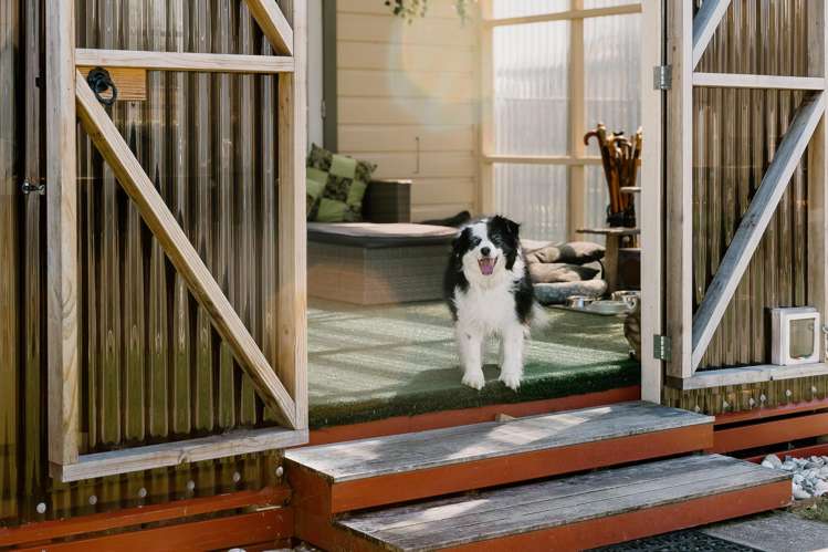 169 Romilly Street Westport_23