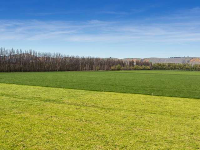 188 Loan Metal Road Momona_3