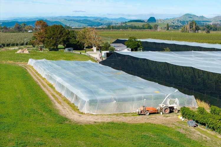 Lot 4 Judd Road Patutahi_11