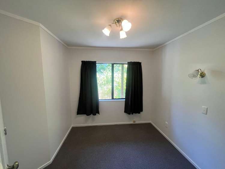 48 Norway Street Aro Valley_8