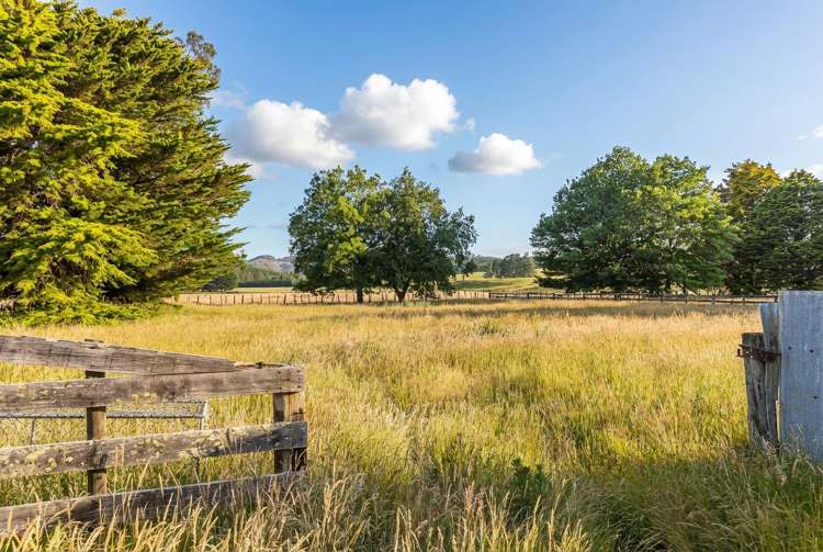 2331 Te Wharau Road Te Wharau_7