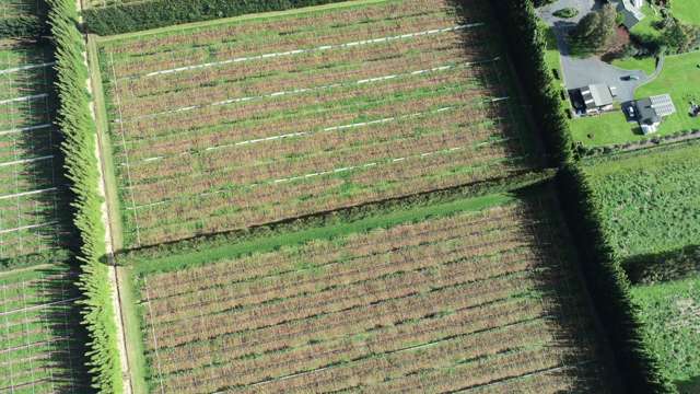 369b Kapiro Road Kerikeri_4