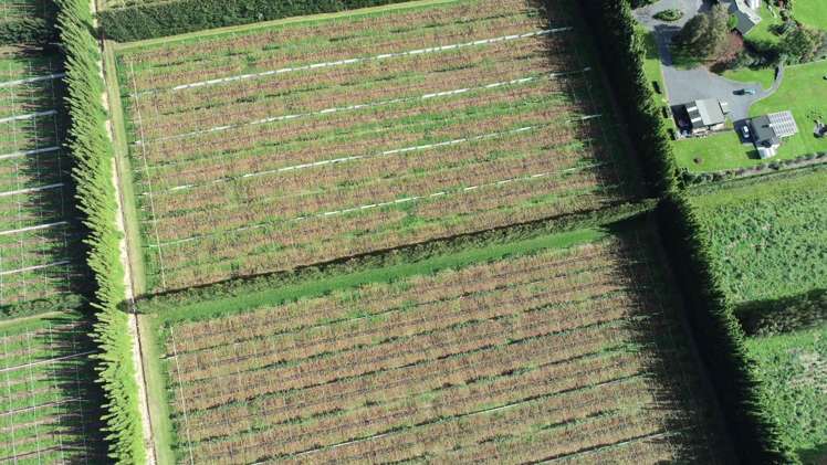 369b Kapiro Road Kerikeri_4