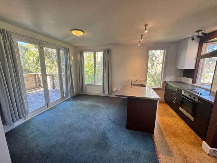  A/21 Lower North Terrace Kelburn_3