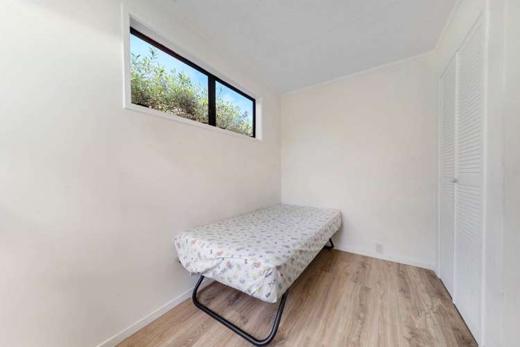 2 Triton Avenue Mount Albert_13