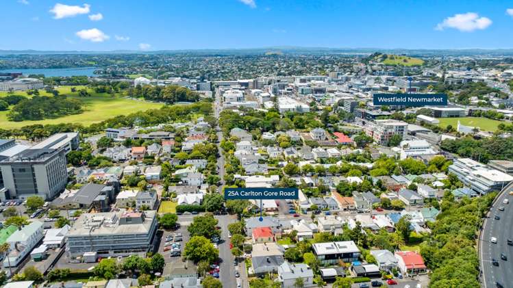 25a Carlton Gore Road Grafton_10