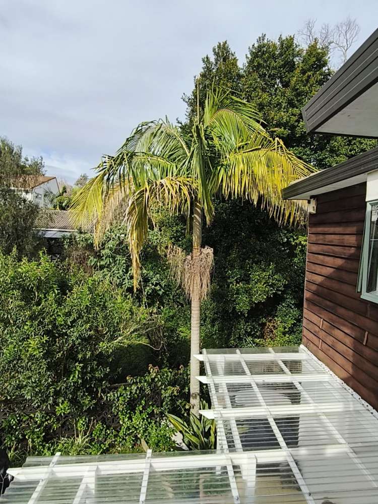 6/19 Gardner Avenue New Lynn_32