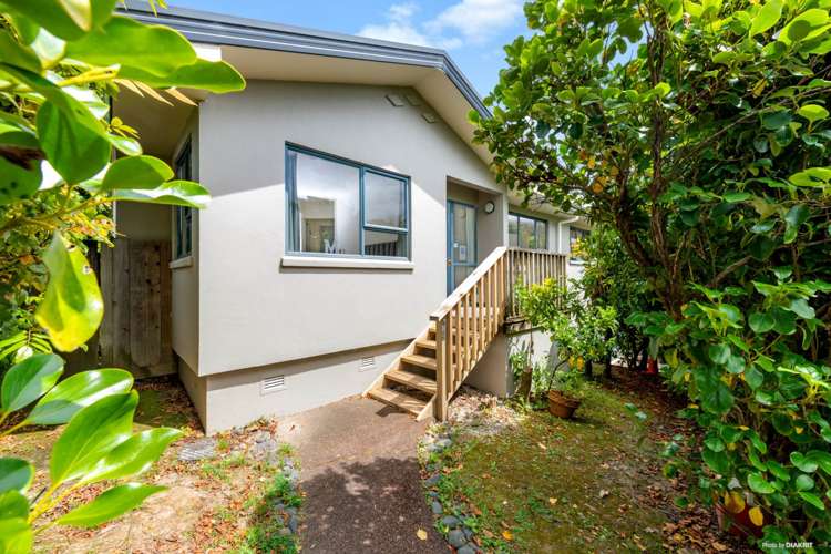 120b Triangle Road Massey_13