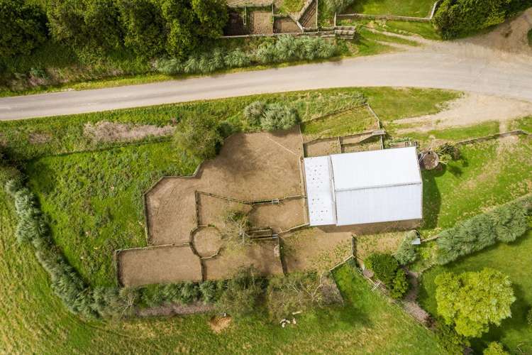 1020 Mangleton Road Kereru_19