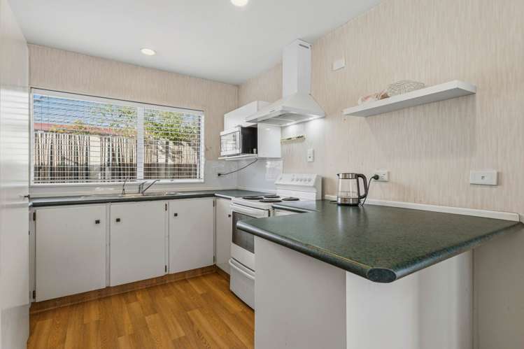 8B Helvetia Road_4
