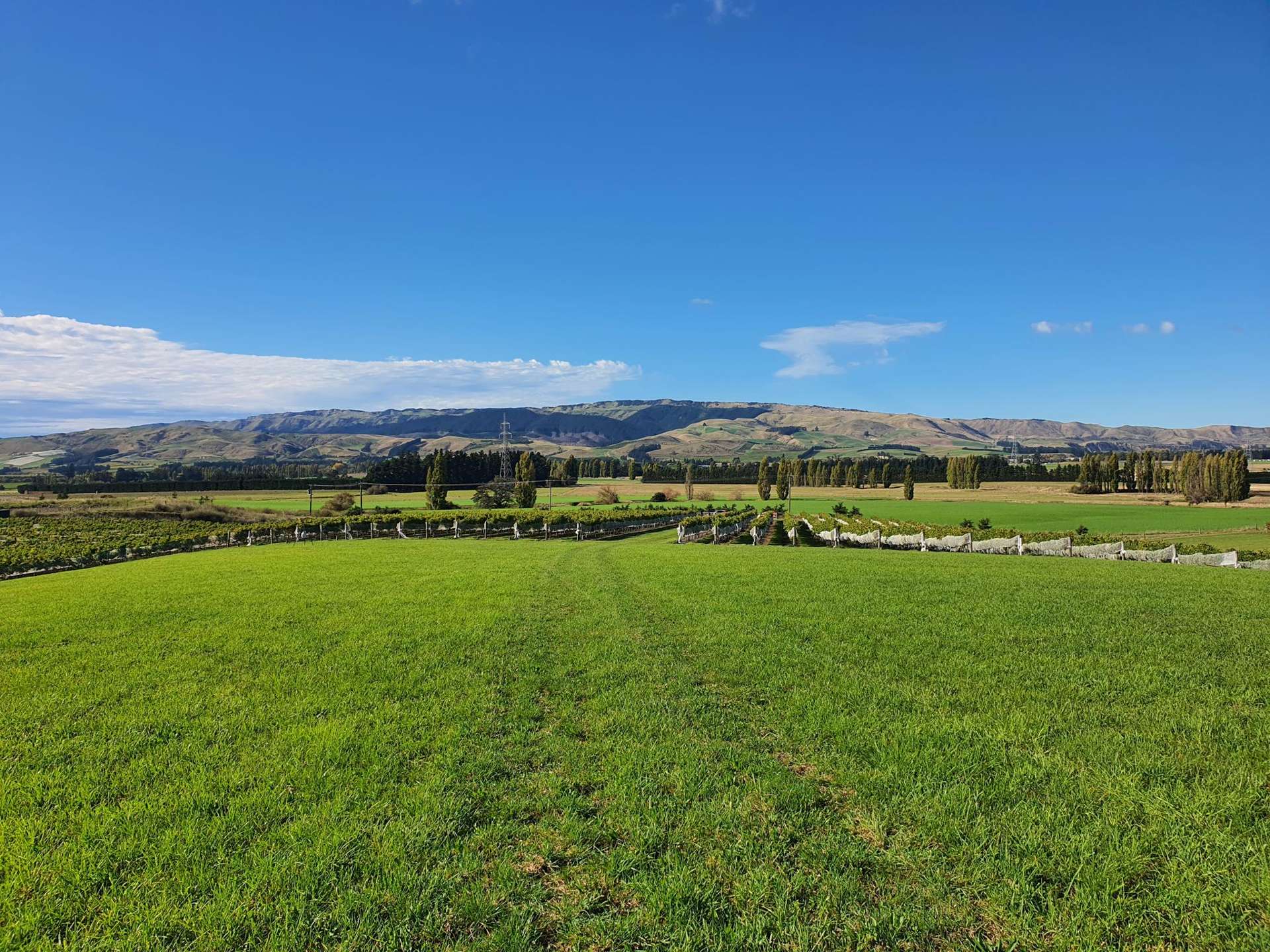 337 Mackenzies Road Waipara_0