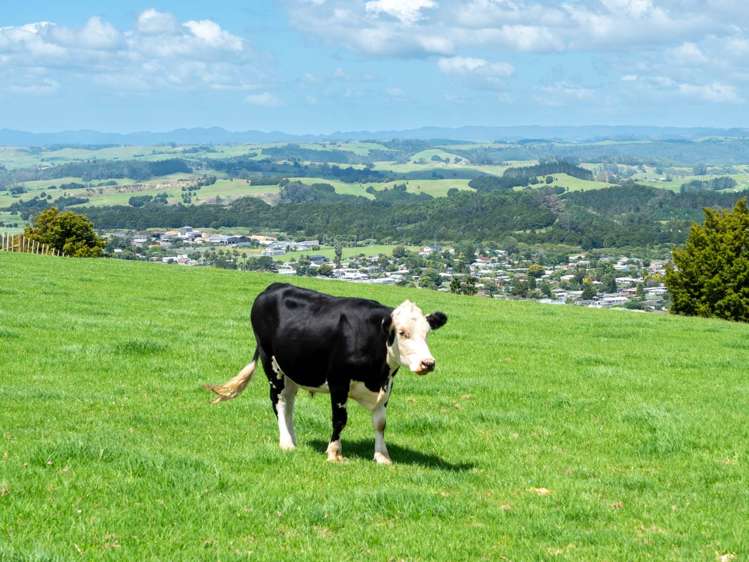 92 Hautapu Road Pakaraka_45