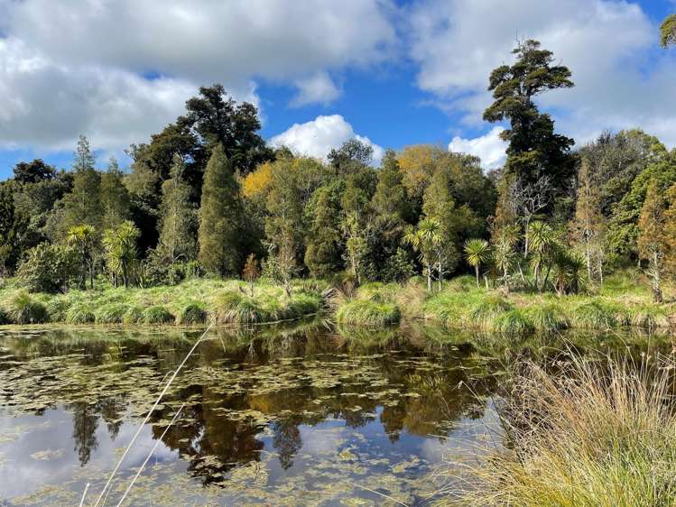 652A Te Whiti Road Te Whiti_23