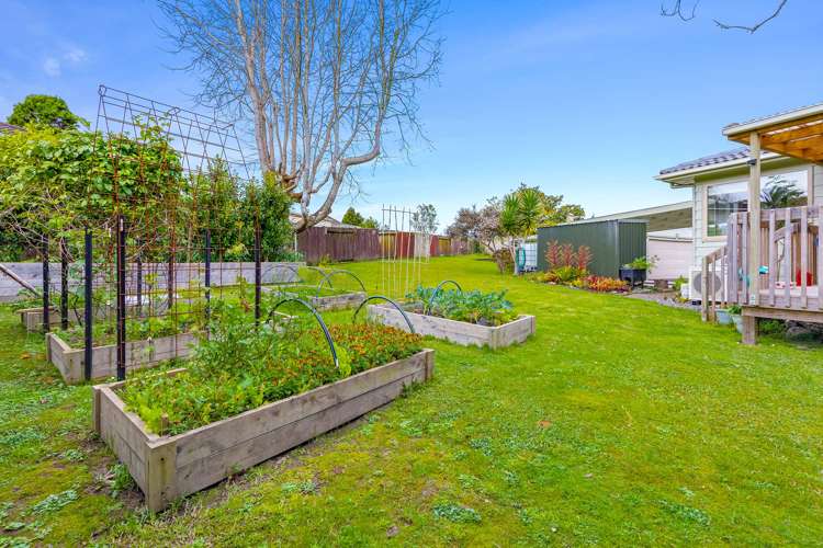 15 Clyma Place Massey_22