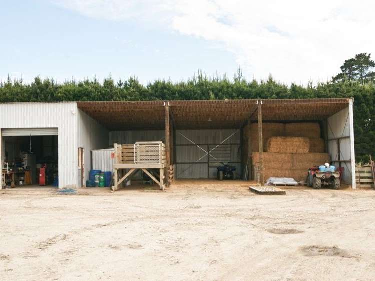 587 Eastern Road North Otago Surrounds_10