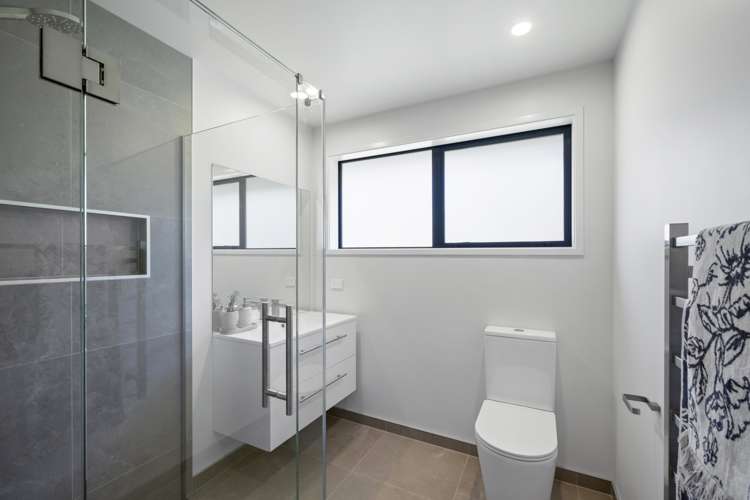 21b Sycamore Grove Lower Vogeltown_8