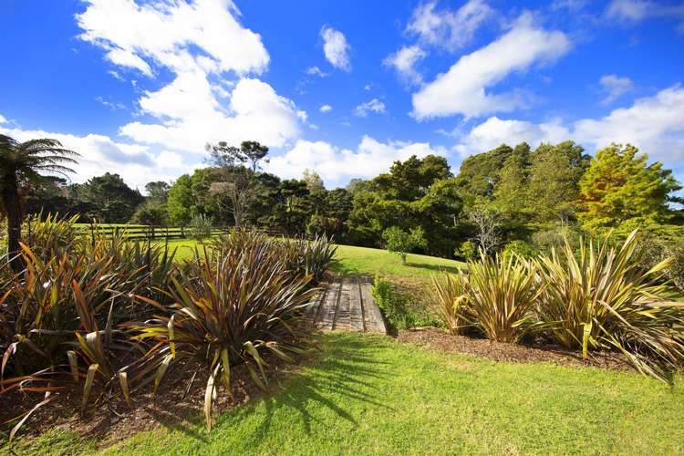 236 Blackbridge Road Dairy Flat_15