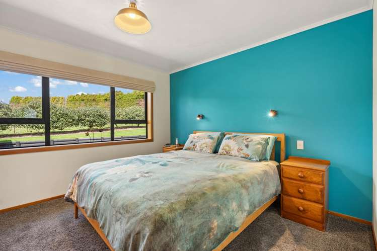 126A Apotu Road Kauri_10