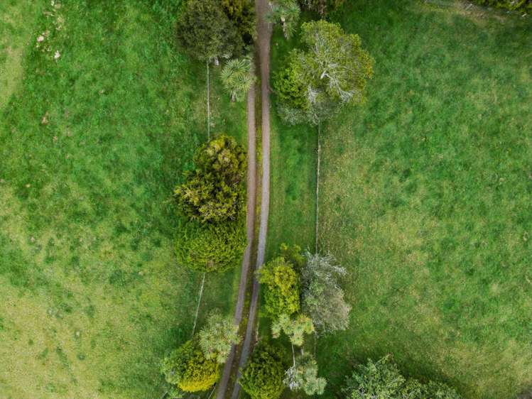 585 Tauranga Direct Road Hamurana_21