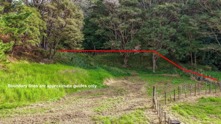 163 and 165 Tapu Coroglen Road Tapu_12