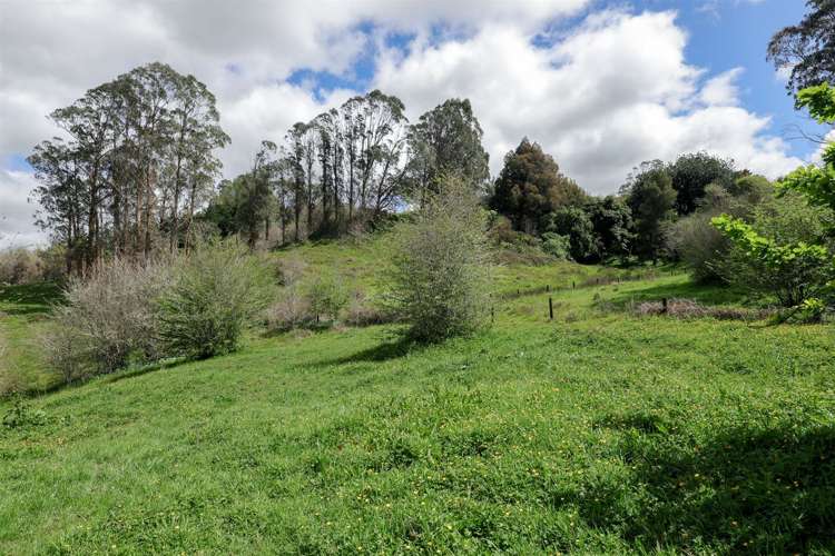 Glen Murray Road Rangiriri_16