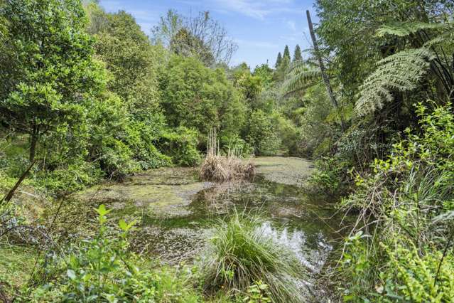 40 Walden Lane Te Puna_3