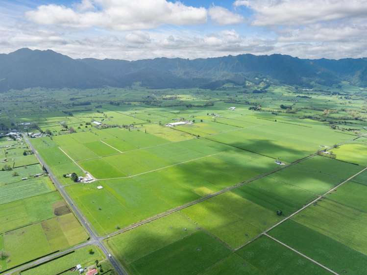 McKinley Road Te Aroha_41