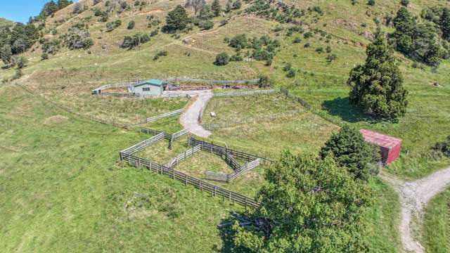 342 Rahu Road Karangahake_1