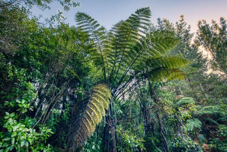 Haydens Road Marsden_15