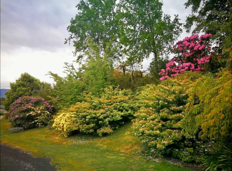 14 Glen Mohr Acacia Bay_8