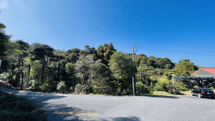 600 Buffalo  Road Coromandel_24