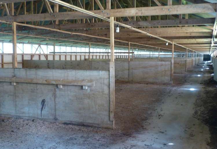 757 Glenbrook Road Kingseat_17