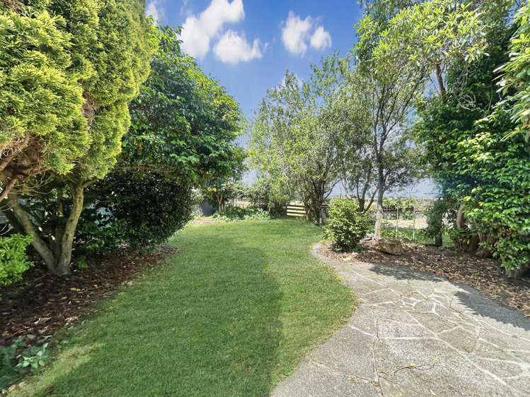 1456 Napier Road 10920_13